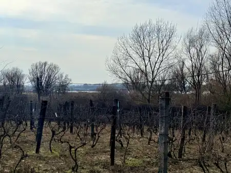 eladó telek, Oroszlány