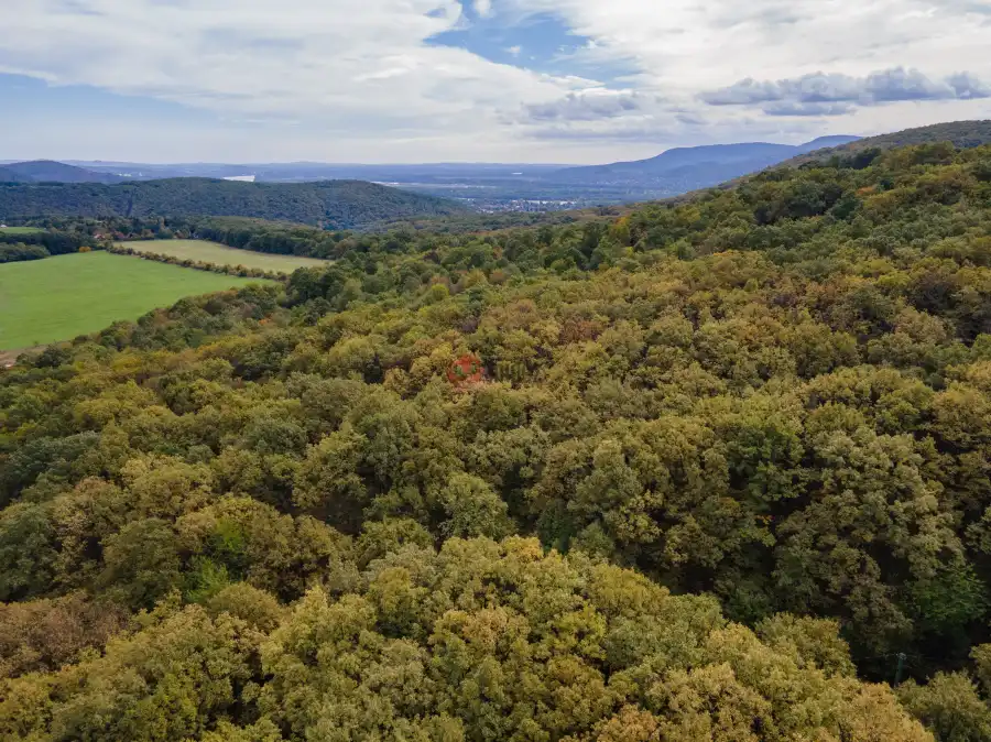 eladó  Üdülő, Kismaros