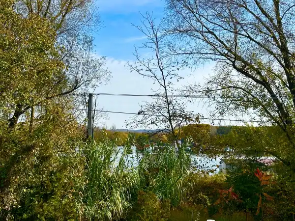 Eladó Üdülő, Oroszlány 760 m² 9.5 M Ft