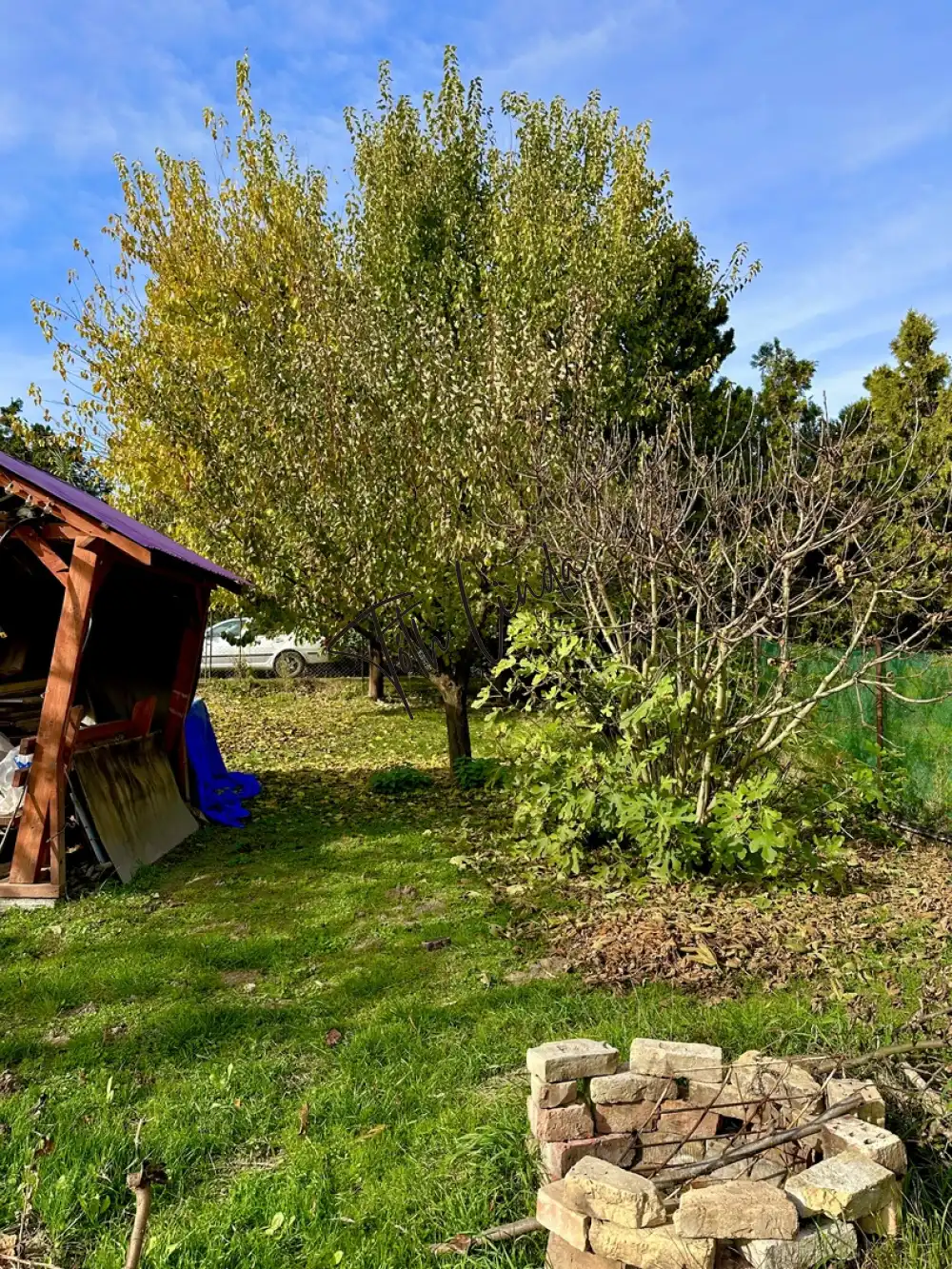 Komárom-Esztergom megye - Oroszlány