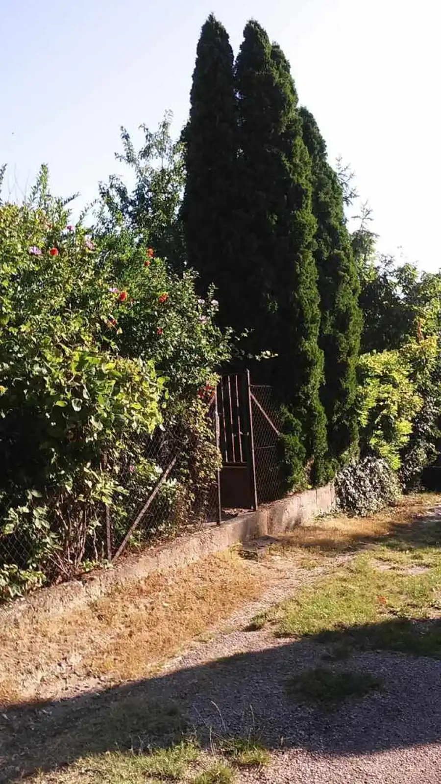 eladó  Üdülő, Rácalmás