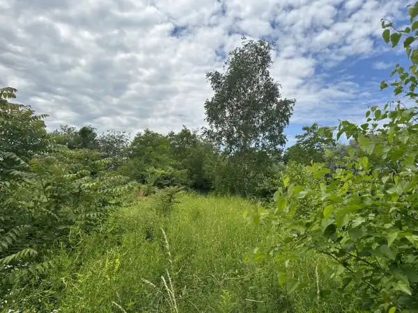 Eladó Üdülő, Vác 797 m² 15.9 M Ft