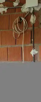 Pest megye - Albertirsa