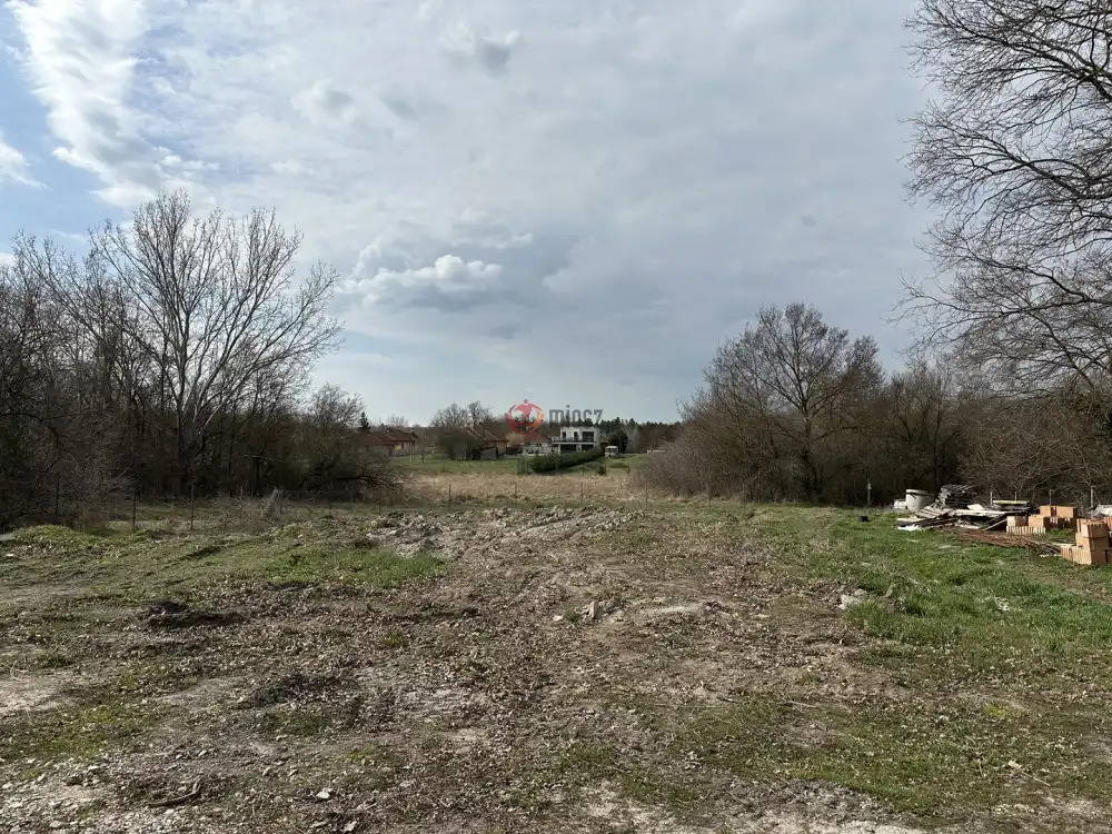 Fejér megye - Székesfehérvár