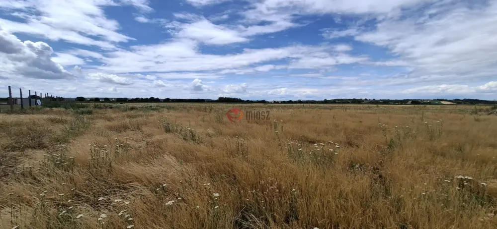 Vas megye - Vásárosmiske