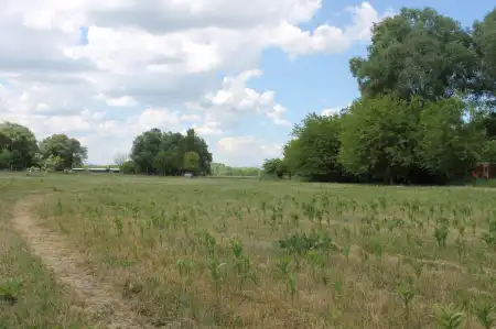 eladó új építésű gazdasági ingatlan, Őrbottyán