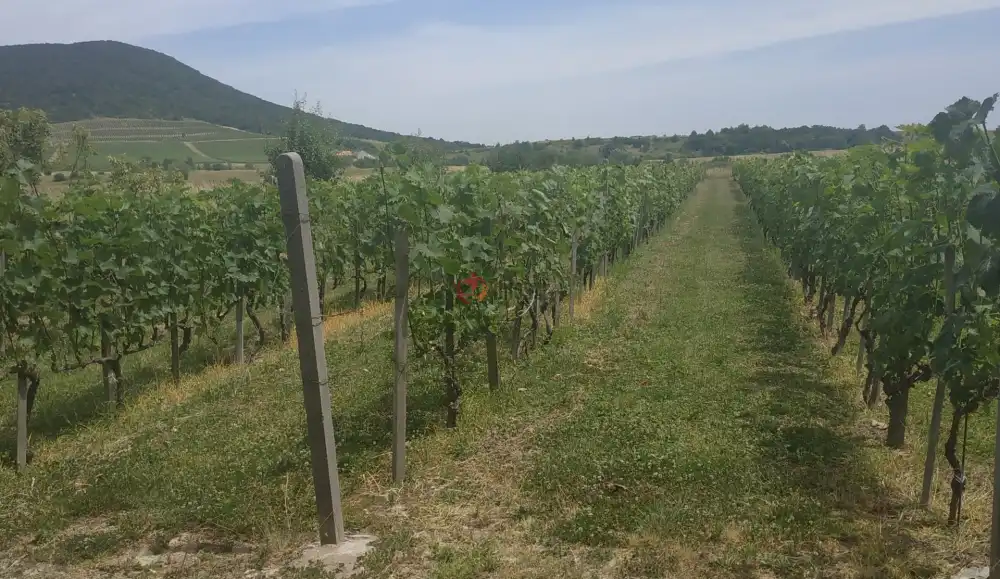 Borsod-Abaúj-Zemplén megye - Erdőbénye