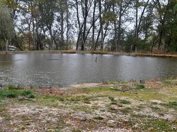 Eladó újszerű gazdasági ingatlan, Dunakeszi 25693 m² 290 M Ft