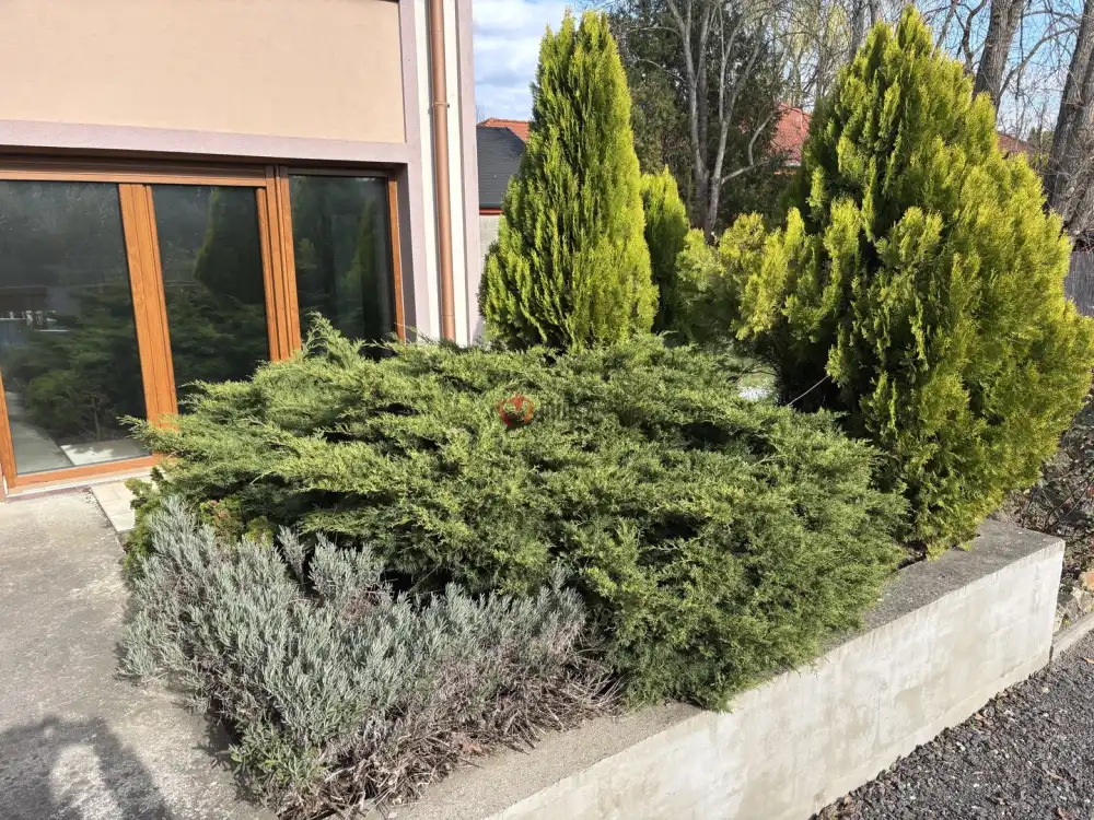 Pest megye - Vácrátót