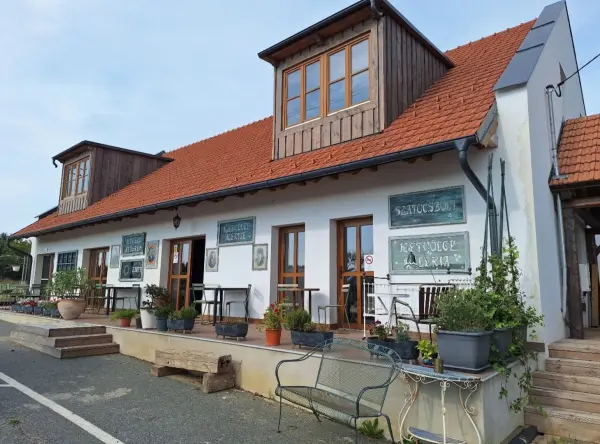 Eladó újszerű vendéglátás, Kétvölgy 6 szoba 550 m² 330 M Ft