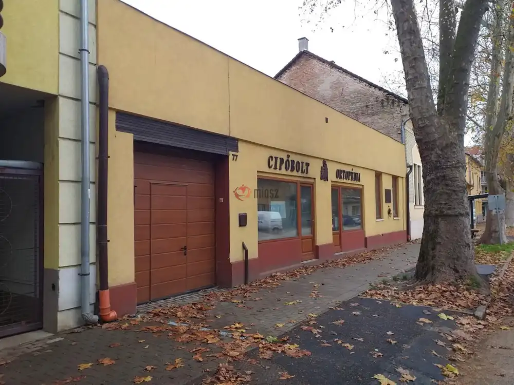 Somogy megye - Kaposvár