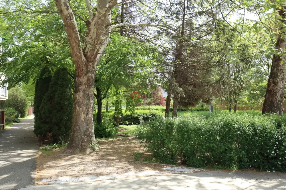 Csongrád megye - Szeged