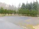 Heves megye - Parád