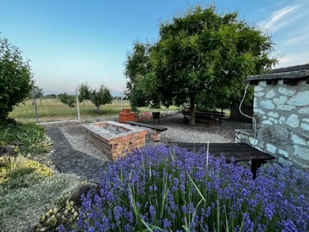 Borsod-Abaúj-Zemplén megye - Tállya