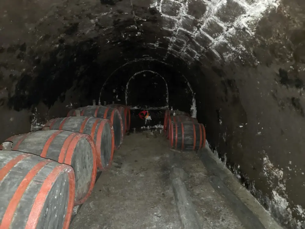 Borsod-Abaúj-Zemplén megye - Tarcal