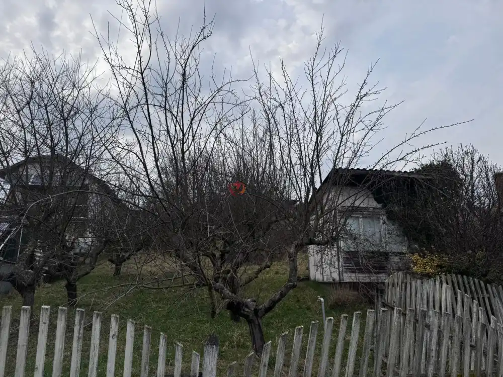 Zala megye - Zalaegerszeg