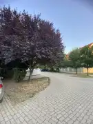 Csongrád megye - Szeged