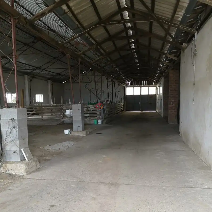 kiadó gazdasági ingatlan, Lakhegy