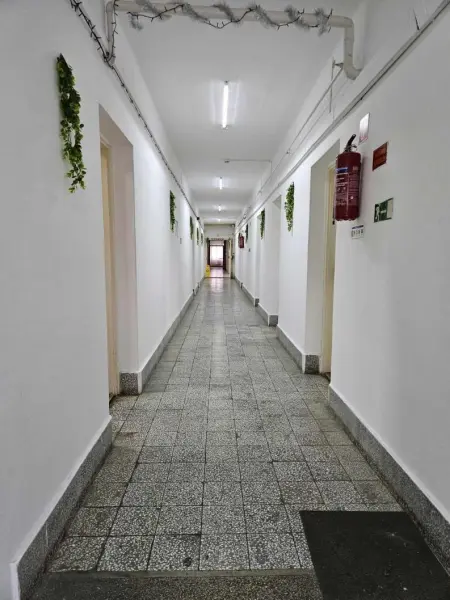 kiadó ipari ingatlan, Oroszlány