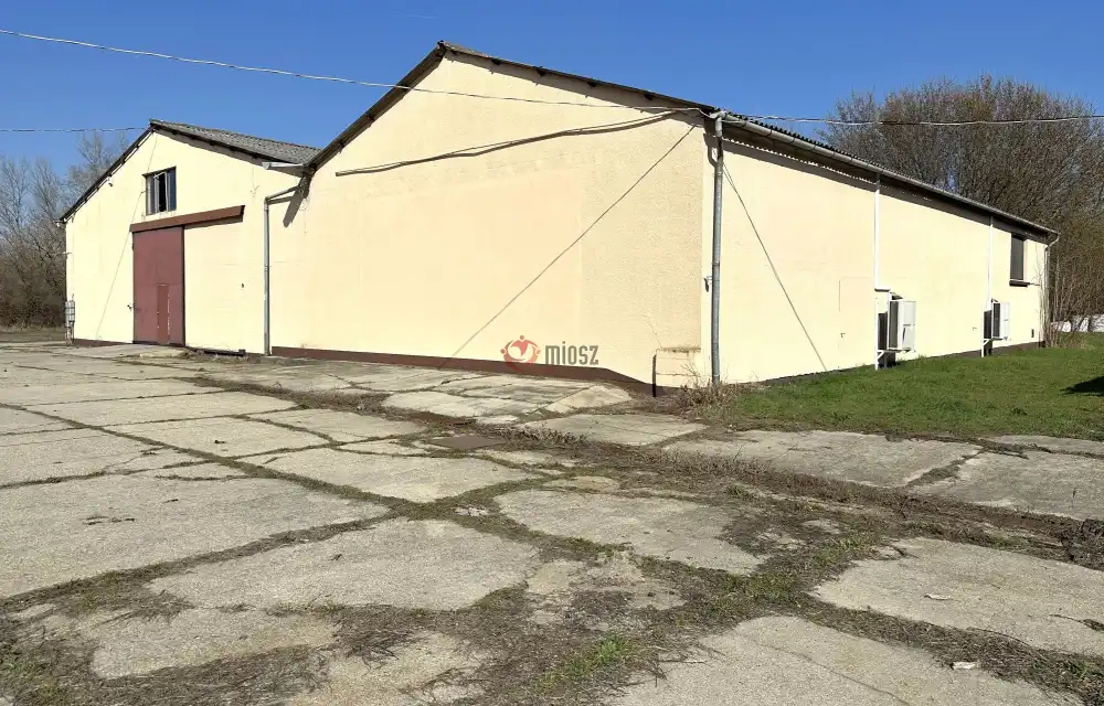 Csongrád megye - Szeged