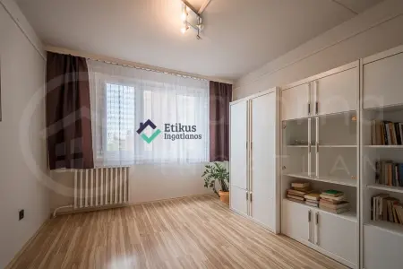 kiadó panellakás, Miskolc
