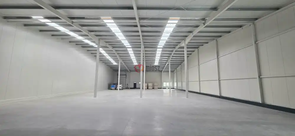 Pest megye - Alsónémedi