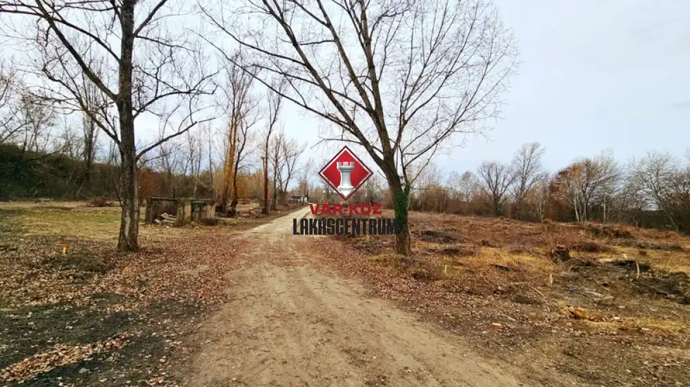 ELADÓ / KIADÓ Ipari ingatlanok - Martonvásár - Martonvásár